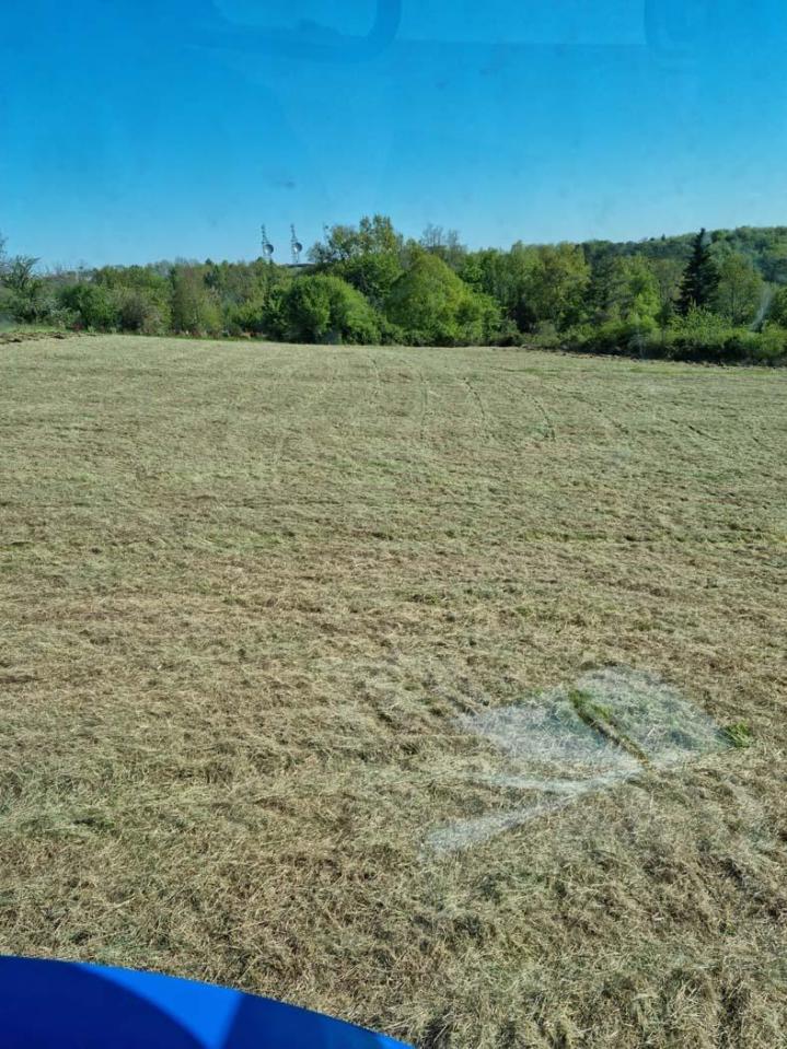 Producteurs agricoles à Libourne