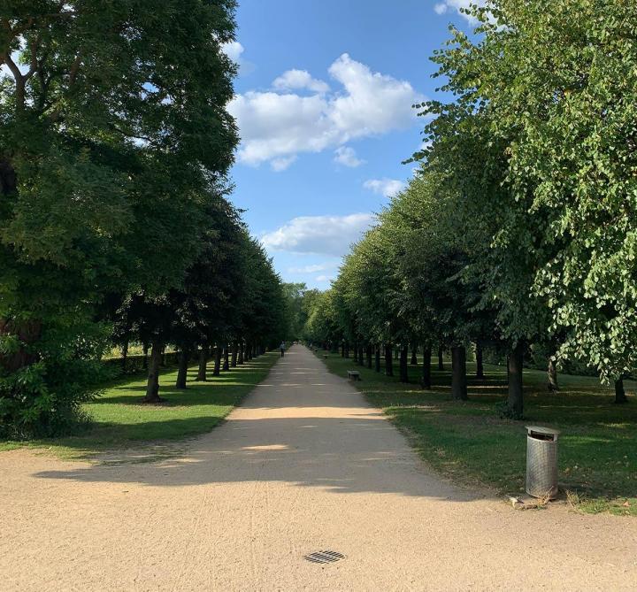 Un chemin d'accès, c'est l'artère vitale de votre propriété.