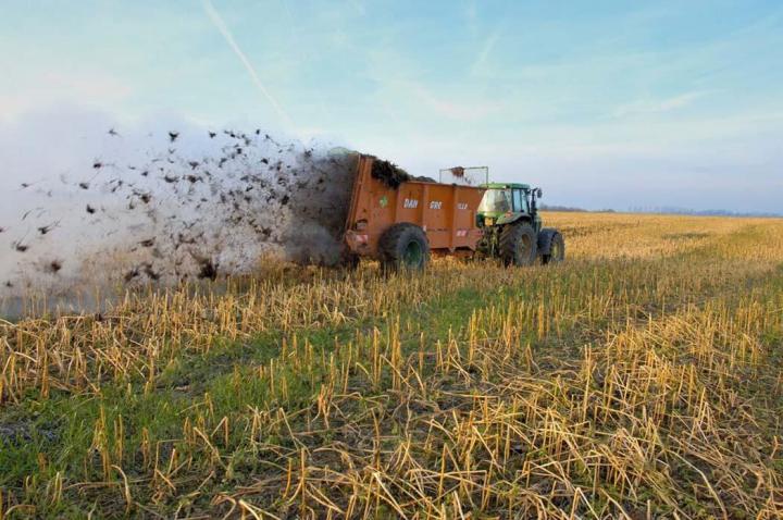 Exploitants de terres agricoles à Libourne