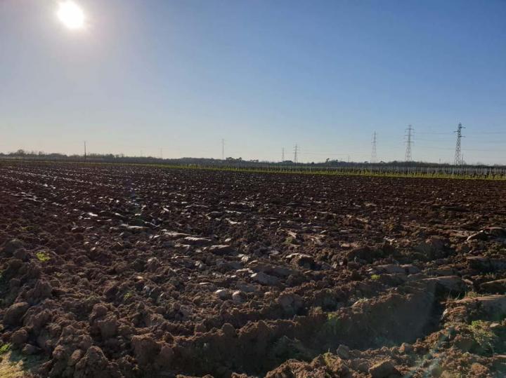 Fermiers à Libourne