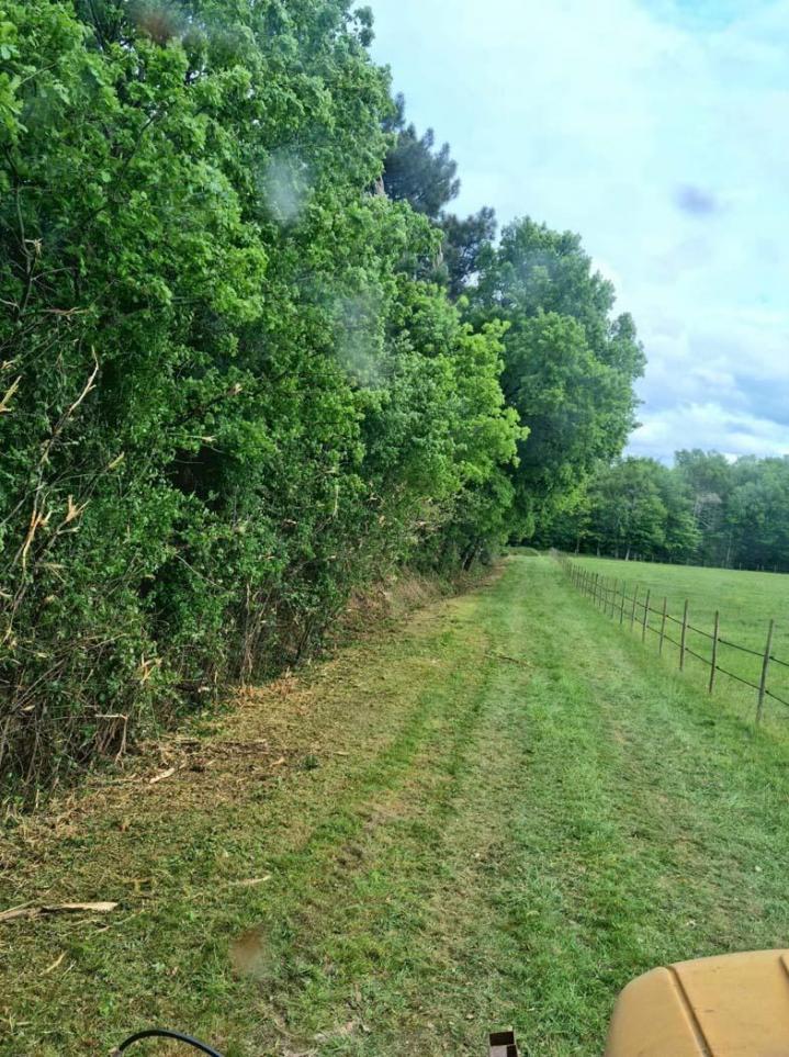 Cultivateurs à Libourne