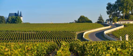 TP saint emilion
